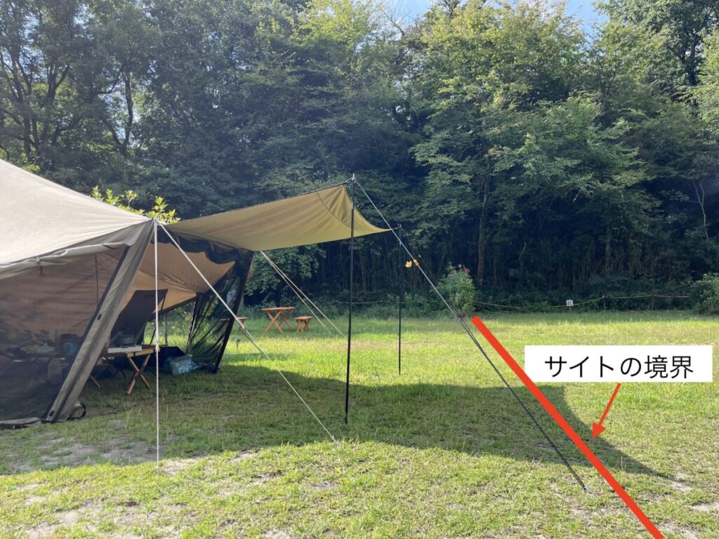 フロントのキャノピーをたてた写真