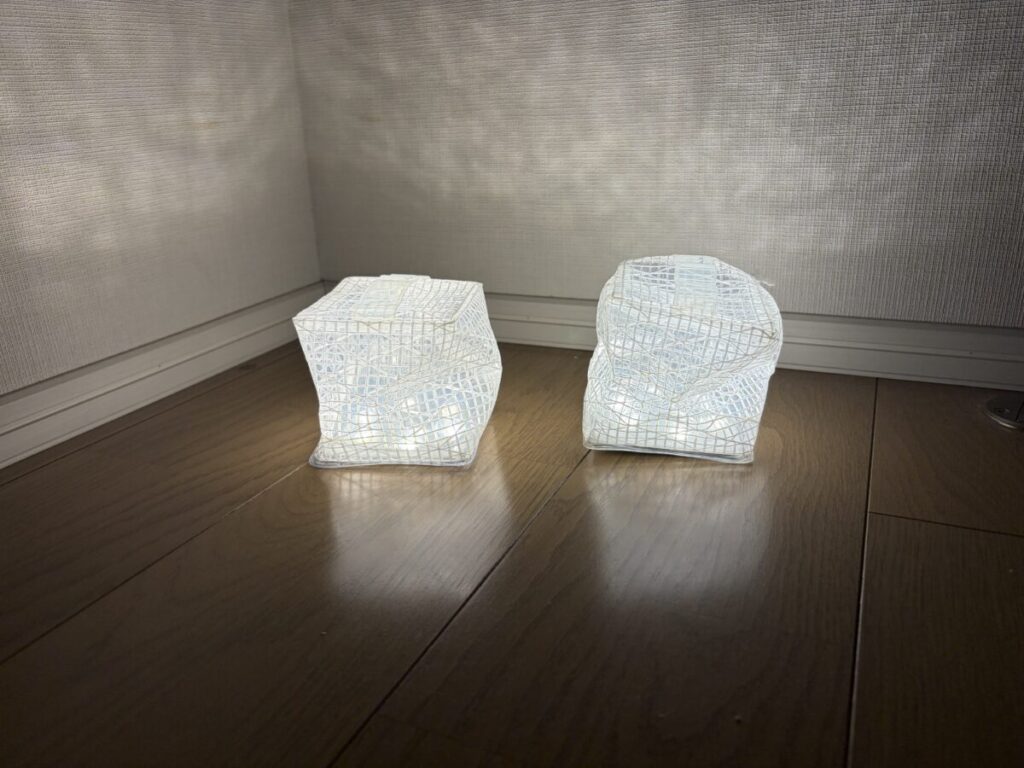 キャリーザサン　ウォームライト